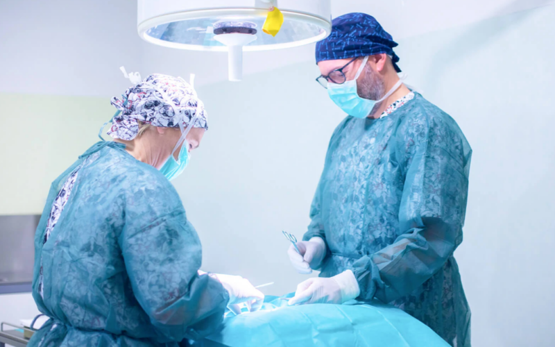 LES TORRES WEB SERVICIOS SERVICIOS QUIRÚRGICOS