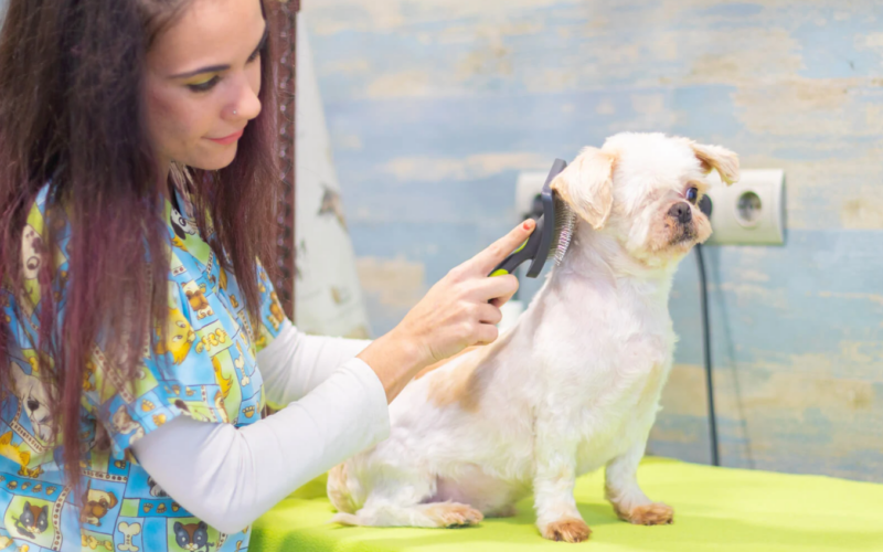 LES TORRES WEB SERVICIOS ESTÉTICA CANINA Y FELINA