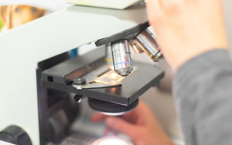 LES TORRES WEB SERVICIOS OTROS SERVICIOS