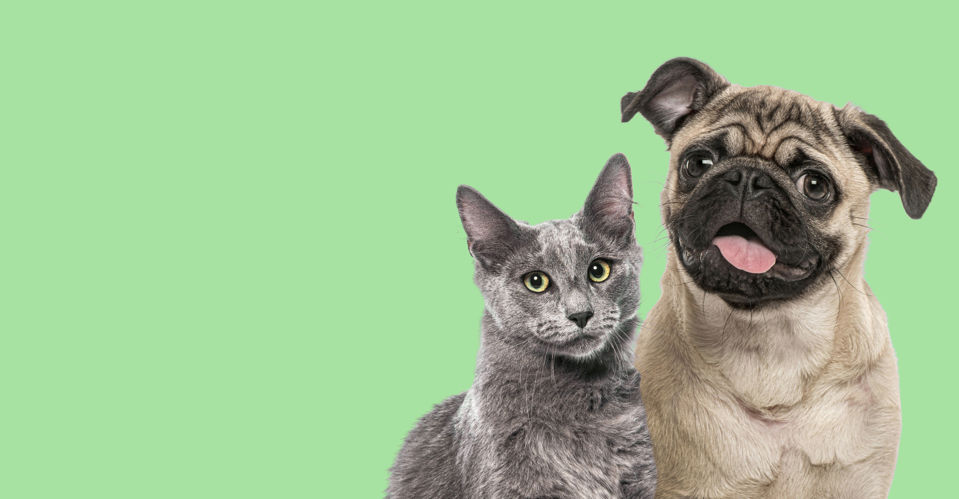 Centre Veterinari <br/> Les Torres