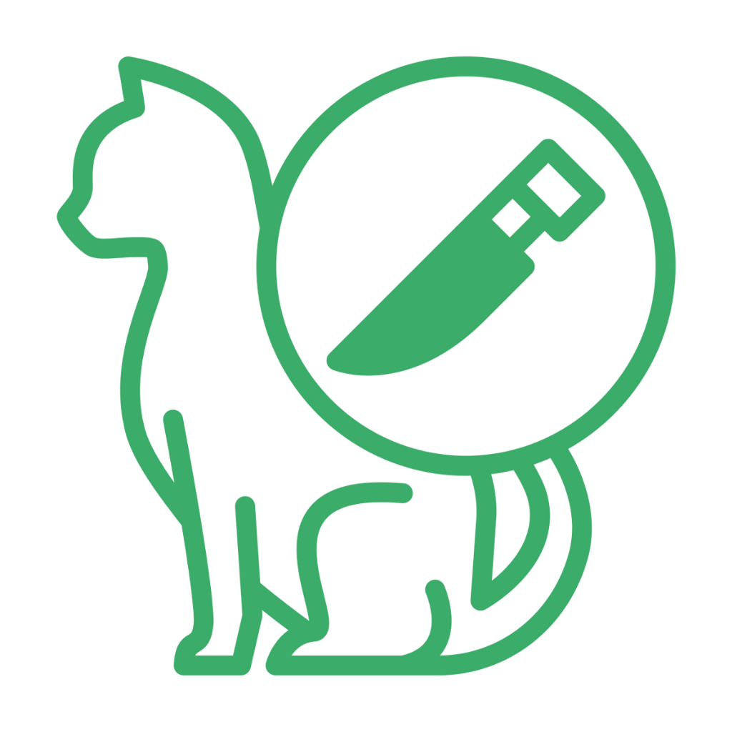 LES TORRES WEB ICONO HOME CIRUGÍA