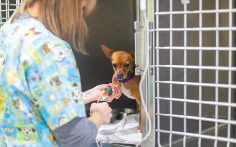 LES TORRES WEB SERVICIOS HOSPITALIZACIÓN